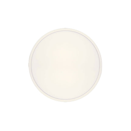 Sky LED Oyster