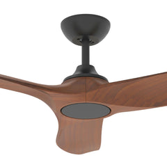 Collection image for: Fans