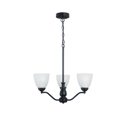 Rochester Pendant Range - Black