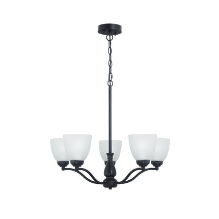 Rochester Pendant Range - Black