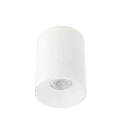 Oren Surface Mount LED Downlight