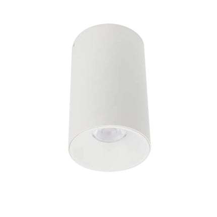 Oren Surface Mount LED Downlight