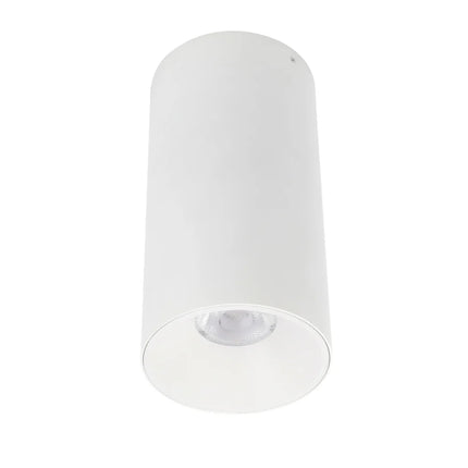 Oren Surface Mount LED Downlight