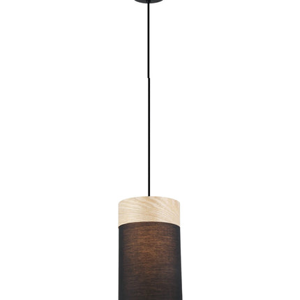 Tambura Pendant Range