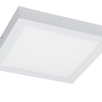 Clearance Oyster Lights