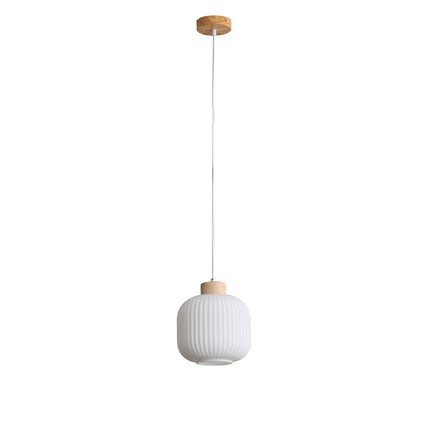 Bolli Pendant Range