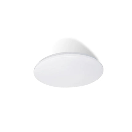 Clearance Oyster Lights