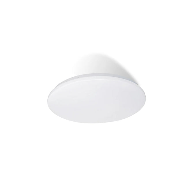 Clearance Oyster Lights