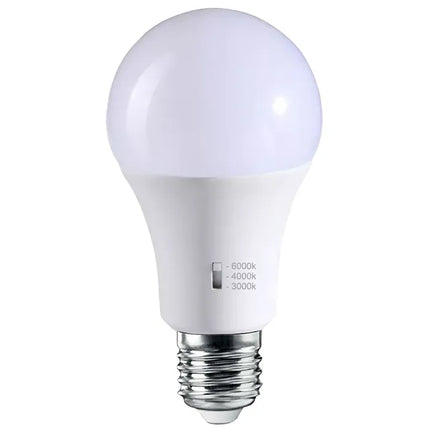 GLS 12w CCT LED