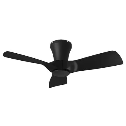 Kiwi Ceiling Fan