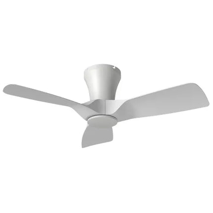 Kiwi Ceiling Fan