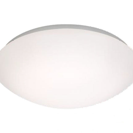 Clearance Oyster Lights