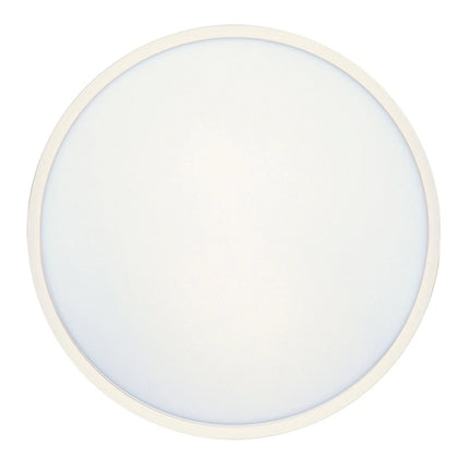Clearance Oyster Lights