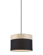Tambura Pendant Range
