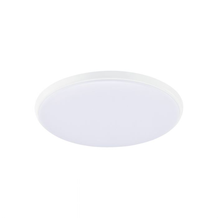 Ollie LED Oyster - White
