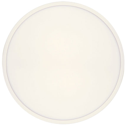 Sky LED Oyster
